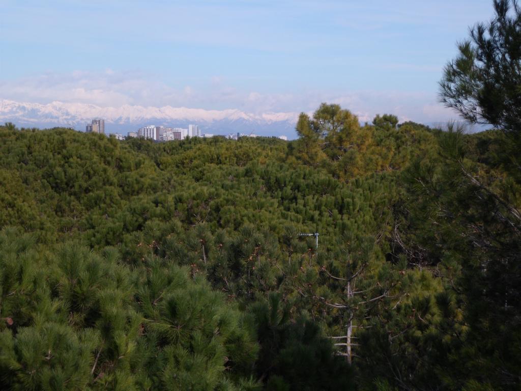 ליגננו סביאדורו Residence Gardenia מראה חיצוני תמונה